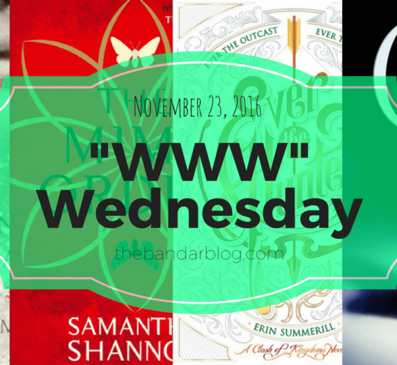 WWW (Or, My Book Line-up) Wednesday