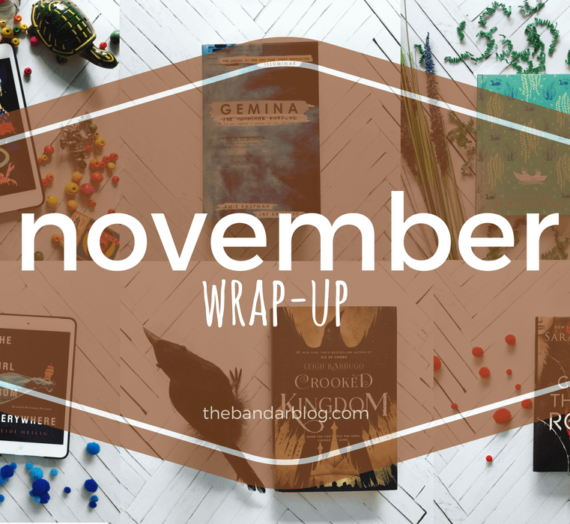 November Wrap-Up