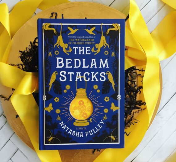 The Bedlam Stacks: Special Guest Review by the Husband (*throws confetti*)!