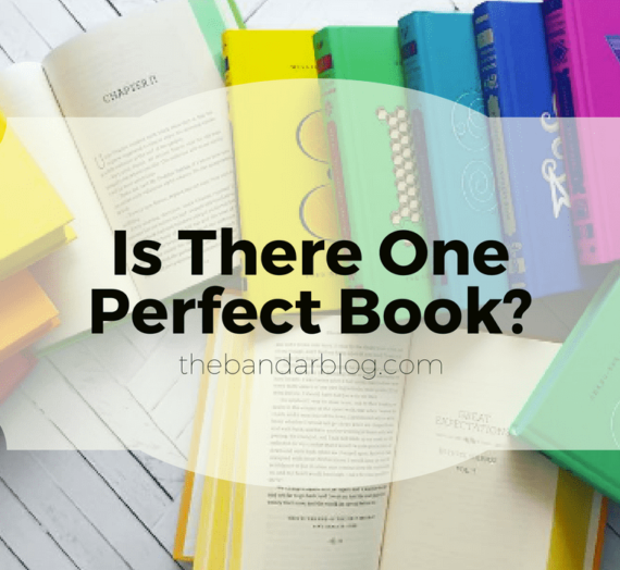 Is There One Perfect Book?