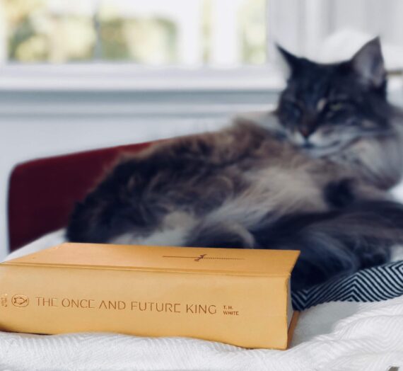 Couple’s Review: The Once and Future King