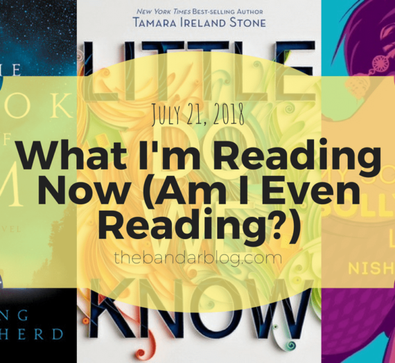 What I’m Reading Now (Am I Even Reading?)